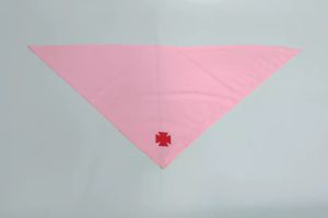 Ý Nghĩa Khăn Hồng Chiên Con Thiếu Nhi Thánh Thể.