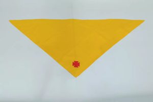 Ý Nghĩa Khăn Ngành Nghĩa Sỹ Trong Thiếu Nhi Thánh Thể